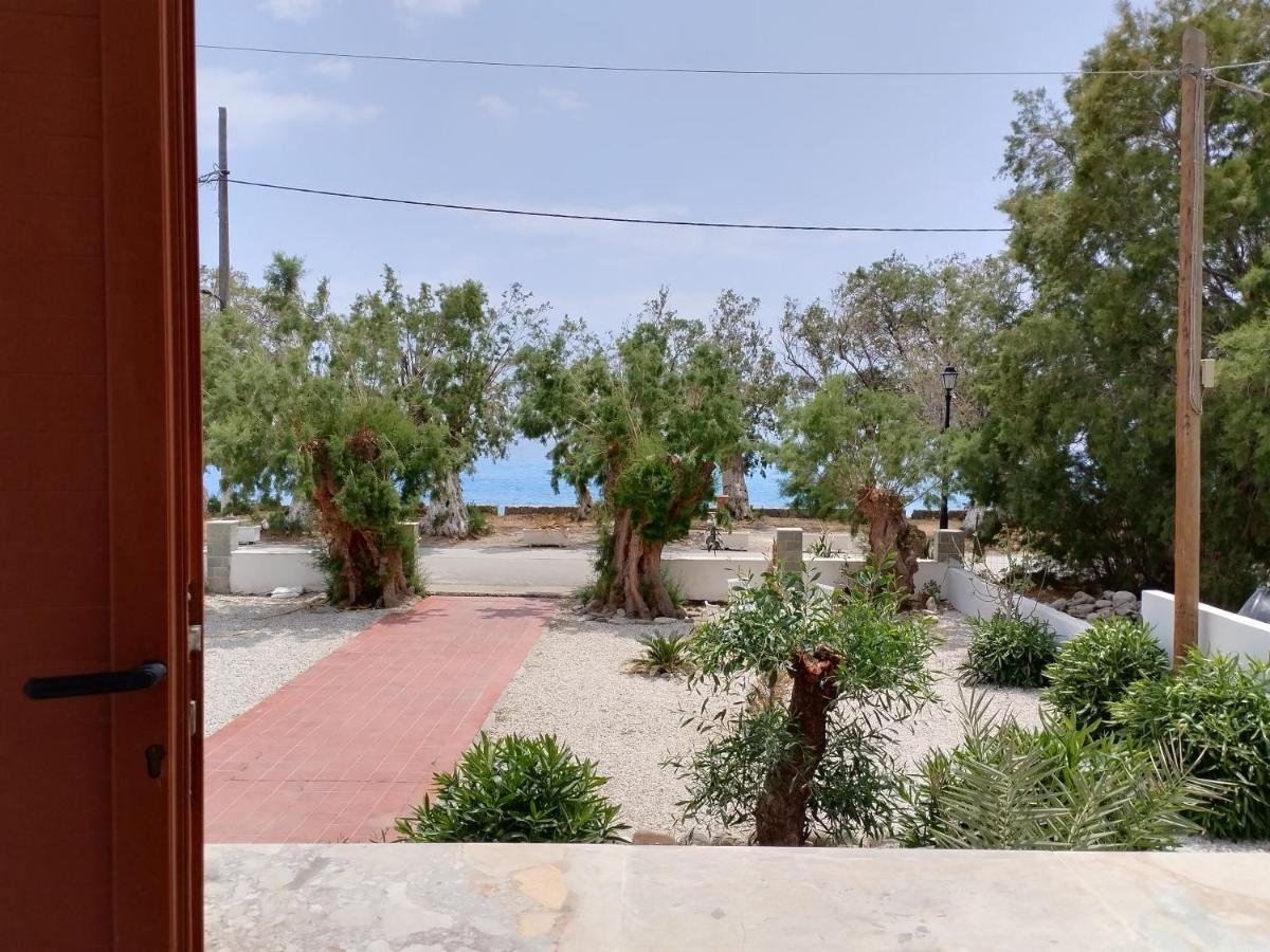 מלון סוג'יה Zorbas מראה חיצוני תמונה